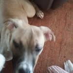 Kathy Mahnken - @kathymahnken - Instagram