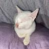 kitty and kathy main acount - @kittyacount6 - TikTok