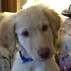 Kathy Maire - @kathy.maire7 - TikTok