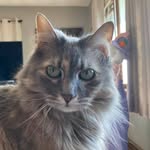 Kathy Maples - @kathy.maire716 - Instagram