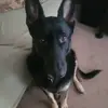 Kathy Malinovsky - @kathymalinovsky - TikTok