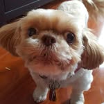 Kathy Gillen Mankin - @kathy_mankin - Instagram