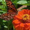 kathymanley - @kathy.manley8 - TikTok