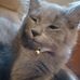 Kathy Marcella - Facebook