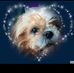 Kathy Marcelli - Facebook