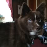 Kathy March - @hummingberd2000 - Instagram