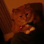 Kathy Marcus - @kathyanimalsrulemarcus - Instagram
