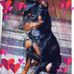 Kathy Marcus - Facebook