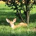 Kathy Marcus - Facebook