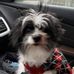 Kathy Marcus - Facebook