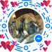 Kathy Marcus - Facebook