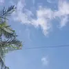 Katy Marcus - @katymarcus - TikTok