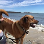 Kathy Marek - @katmarekusa - Instagram