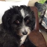Kathy Marek - @kathy.marek.73 - Instagram
