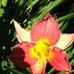 Kathy Markel - Facebook