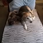 Kathy Markle - Facebook