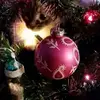 kathymarklevitz - @kathymarklevitz - TikTok