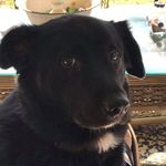 Kathy Marlow - @bellalove22432 - Instagram