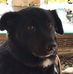 Kathy Marlow - Facebook