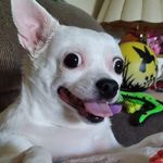 Kathy Marlow - @knadinem - Instagram