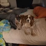 Kathy Marlow - @kathy442833 - Instagram