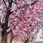 Kathy Mars - Facebook