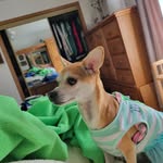 Katherine Ann Martindale - @craftlady1950 - Instagram