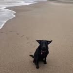 Kathy Martindale - @martindale_kathy - Instagram