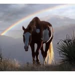 Kathy Wooten Martindale - @kathylapish - Instagram