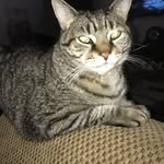 Kathryn Ann Marvel Raymond - @scoobydoo251972 - Instagram