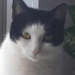 Kathy Masterson - @kathymasterson52 - Instagram