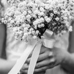Kathy Masterson Photography - @kathymastersonphotography - Instagram