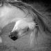 Kathy Mathew Photography - Facebook