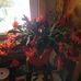 Kathy Mathias - Facebook