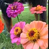 kathymathias356 - @kathymathias356 - TikTok
