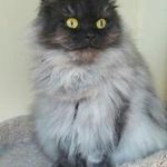Kathy Mattern - @matternkathy - Instagram