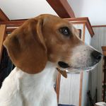 Kathy Mattern - @kathymattern - Instagram