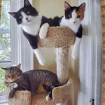 Kathy mattern - @kathymattern4 - Instagram