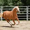 Kathy McAfee146 - @krmcafee - TikTok