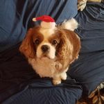 Kathy Mcafee - @kathy.mcafee - Instagram
