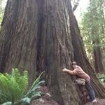Kathy Shook McCallie - @kathymccallie - Instagram
