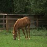 Kathy Mccarley - @mccarleymaggie - Instagram