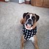 kathymccarleyholl - @kathy.mccarley.ho - TikTok