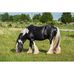 Kathy Mcclung - Facebook