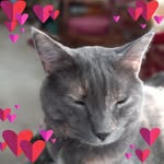 Kathy Mcclung - @mcclung8384 - Instagram