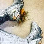 Kathy McClung - @kathymcclung71389 - Instagram
