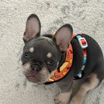 Kathy McClung Saito - @kathymcclungsaito - Instagram