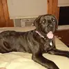 Kathy Mcculloch398 - @kathymcculloch398 - TikTok