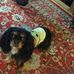 Kathy Mcculloch - Facebook