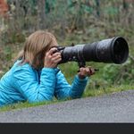 Kathy McCulloch Wade - @kwadeplaces - Instagram